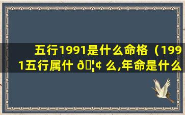 五行1991是什么命格（1991五行属什 🦢 么,年命是什么）